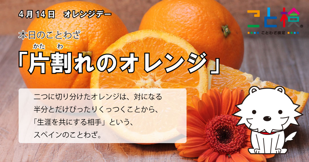 片割れのオレンジ
